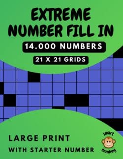 Number FIll In 21x21 Grid Buy on Amazon